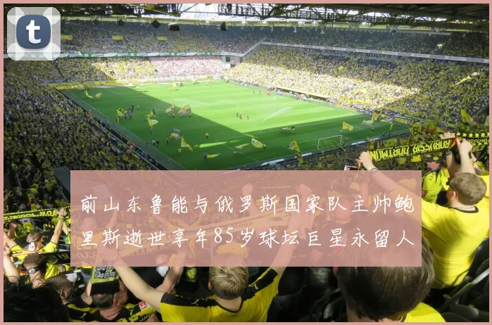 前山东鲁能与俄罗斯国家队主帅鲍里斯逝世享年85岁球坛巨星永留人间
