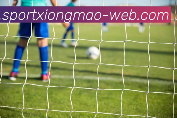 熊猫体育平台生态图