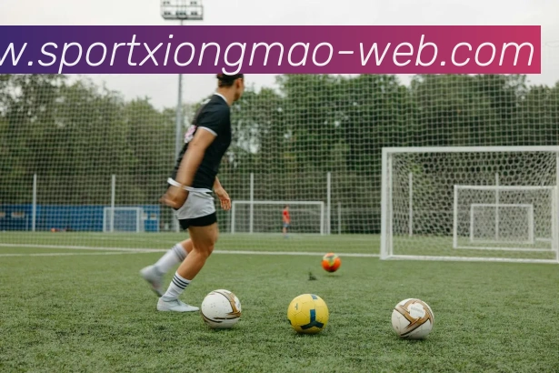 熊猫体育APP 封面图